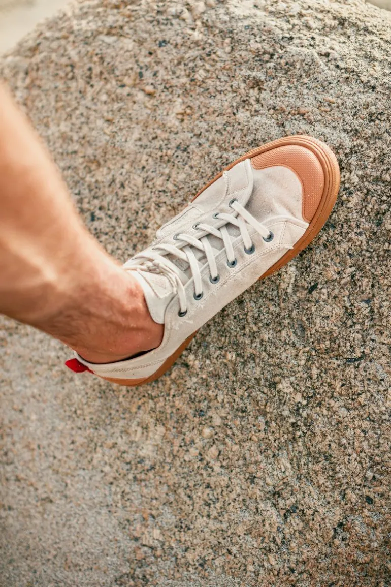 &Sons Baseline Basketball Low Top